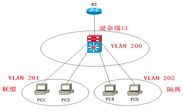 图片1(12).png