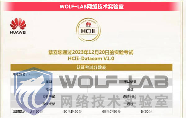 HCIE(1).jpg