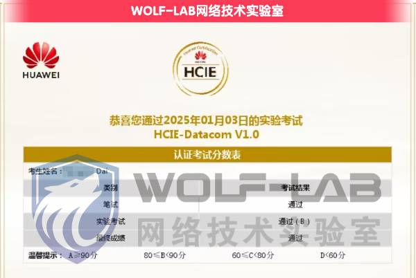 1月3日HCIE D_compressed.jpg