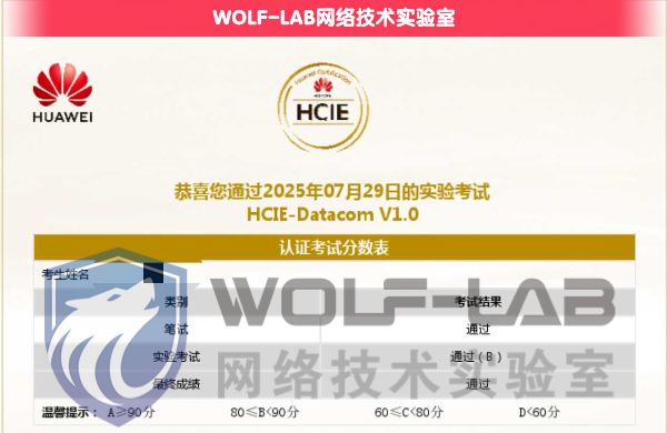 HCIE1 (5).jpg