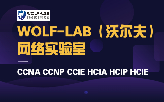 百度WOLF-LAB（沃尔夫） (2).jpg