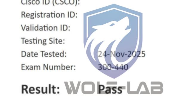 1764144362730020.jpg 300-440.jpg